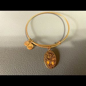 Alex and Ani Adjustable bangle, friends charm.